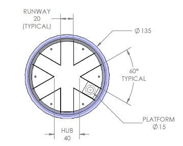 radial arm water maze