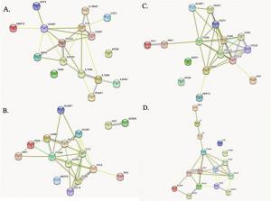 Maglinger B, Sands M, Frank JA, McLouth CJ, Trout AL, Roberts JM, Grupke S, Turchan-Cholewo J, Stowe AM, Fraser JF, Pennypacker KR. Intracranial VCAM1 at time of mechanical thrombectomy predicts ischemic stroke severity. J Neuroinflammation. 2021 May 11;18(1):109. doi: 10.1186/s12974-021-02157-4.  https://pubmed.ncbi.nlm.nih.gov/33971895/