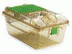 Green Line Tecniplast PIV cage