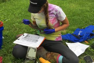 undergrad Rachael Pagano in the field