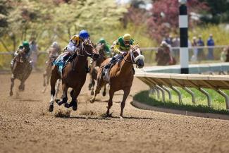 Thoroughbred Racing at Keeneland