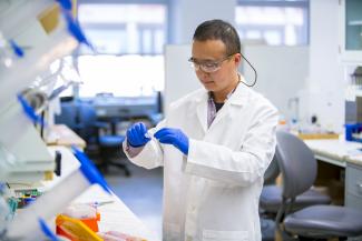 Ren Xu, COBRE PI, in lab at Markey