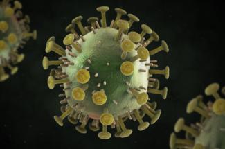 HIV Virus