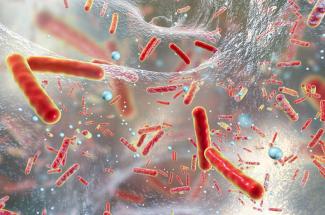 stock image of bacteria suspended in a medium