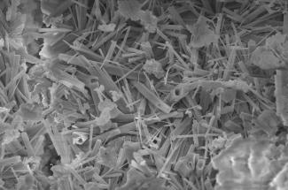 scanning electron microscope image of ettringite and belite, the two primary phases in the belite-cement