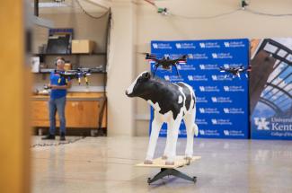 drones with calf replica