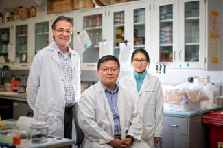 UK researchers (from left) Matthew Gentry, Haining Zhu and Lisha Kuang 