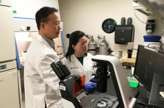 UK researchers Ren Xu and Gaofeng Xiong in lab