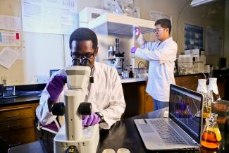 Photo of researchers in lab