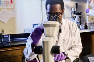 Photo of researcher looking into microscope