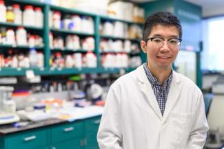 Ronnie Wu works in the lab of Department of Chemistry's Mark Lovell, Ph.D., with the Sanders-Brown Center on Aging.