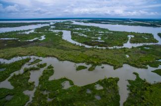 The $2.9 million award will allow a multi-institutional team to study methane emissions in coastal wetlands, which play an increasingly important role in ongoing and rapid climate change. iStock / Getty Images Plus