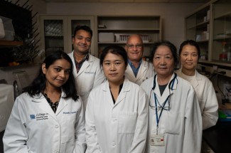 Scientists in the Bieberich Lab on the back row left to right: Zainuddin Quadri, Erhard Bieberich and Xiaojia Ren. Front row left to right: Priyanka Tripathi, Zhihui Zhu and Liping Zhang. Jeremy Blackburn | Research Communications.