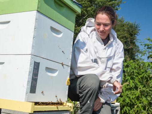 Clare Rittschof, assistant professor of entomology at UK, with beehive at North Farm. Photo by Steve Patton, Agricultural Communications Services.