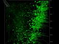 sample scan from light micro core