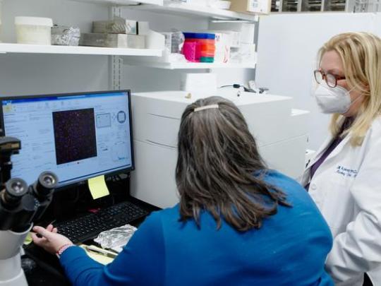 Jill Kolesar, PharmD, works in her research lab at UK’s Healthy Kentucky Research Building.
