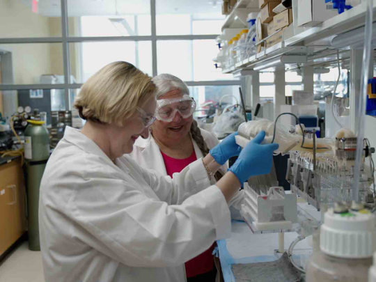 Agripina Deaciuc (front), research analyst principal in pharmaceutical sciences in the College of Pharmacy, and Linda Dwoskin (back) work together in Dwoskin’s lab on pharmacotherapies for methamphetamine use disorder.