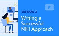 Writing an NIH Approach