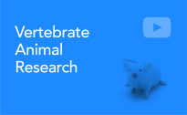 Vertebrate Animal Research