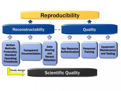 GRP Reproducibility flowchart