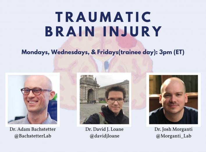 Bachstetter Morganti Loane Traumatic Brain Injury Seminar