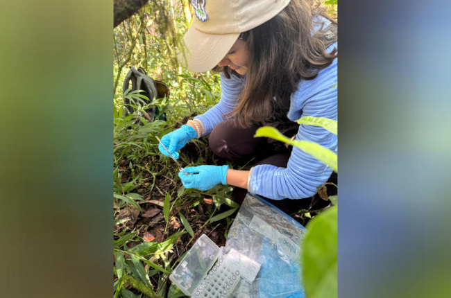 Jaesylin Stephens collects a sample from the forest floor
